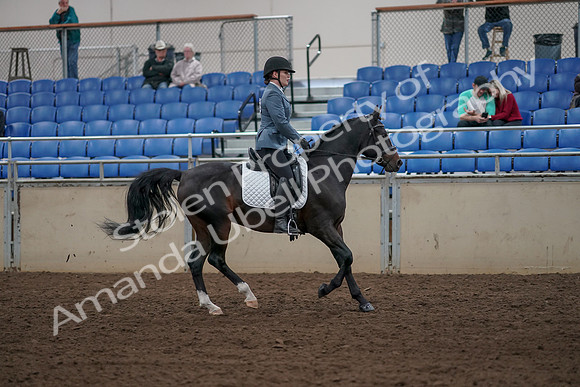 2019 Morgan Horse Show - Aug 31, 2019 - 07510