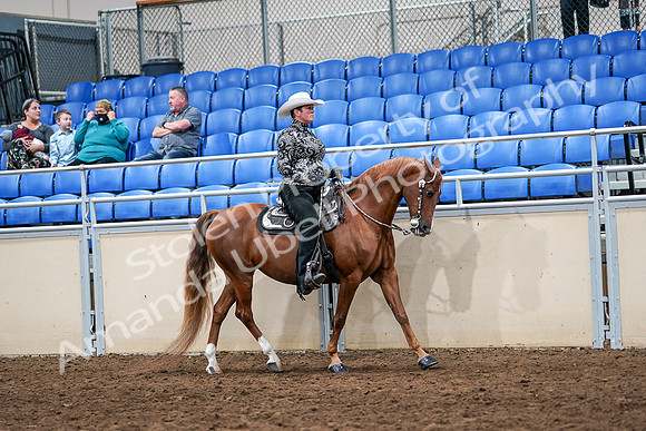 2020 - AB Morgan Horse - Sun, Sept 06 - 07545