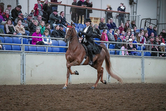 Spring Fling - Saturday - April 20, 2019  -  00458