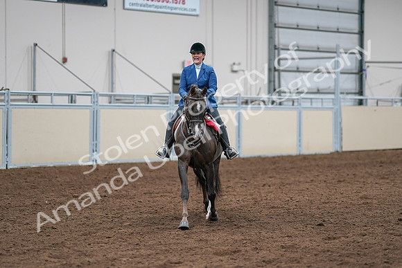 2020 - AB Morgan Horse - Sat, Sept 05 - 05246