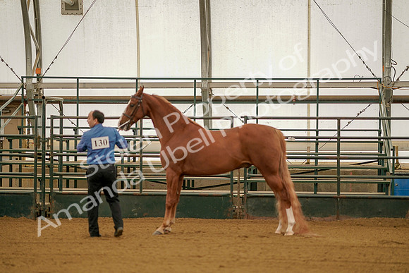 July 19, 2019 - 105