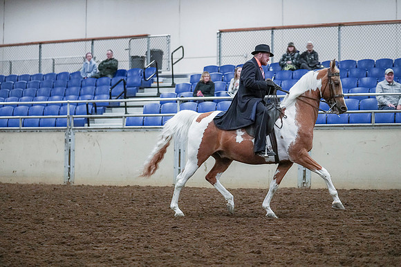 Spring Fling - Saturday - April 20, 2019  -  00771