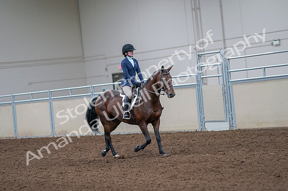 2020 - AB Morgan Horse - Fri, Sept 04 - 06062