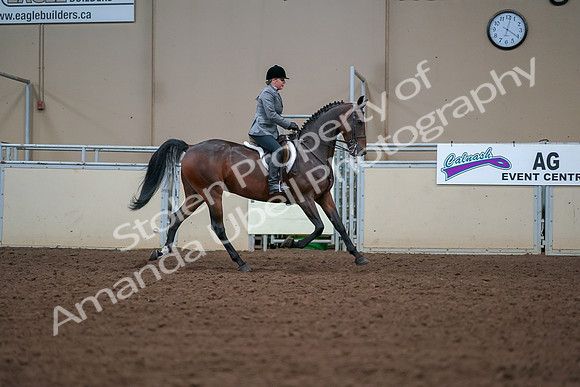 2019 Morgan Horse Show - Aug 30, 2019 - 20943
