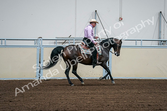 2020 - AB Morgan Horse - Fri, Sept 04 - 00567