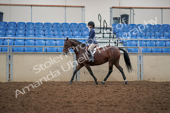 2019 Morgan Horse Show - Aug 30, 2019 - 23387