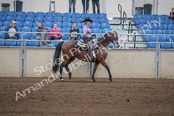2019 Morgan Horse Show - Sept 01, 2019 - 07068