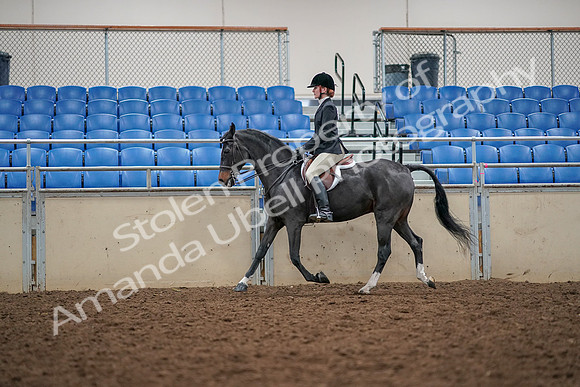 2019 Morgan Horse Show - Aug 30, 2019 - 23296