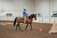 2020 - AB Morgan Horse - Fri, Sept 04 - 00019