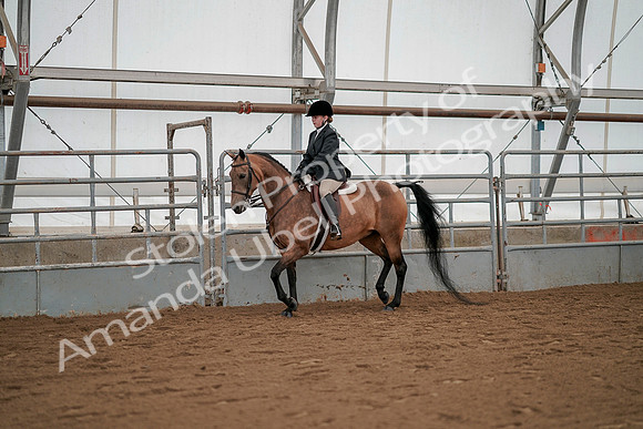 July 19, 2019 - 2308