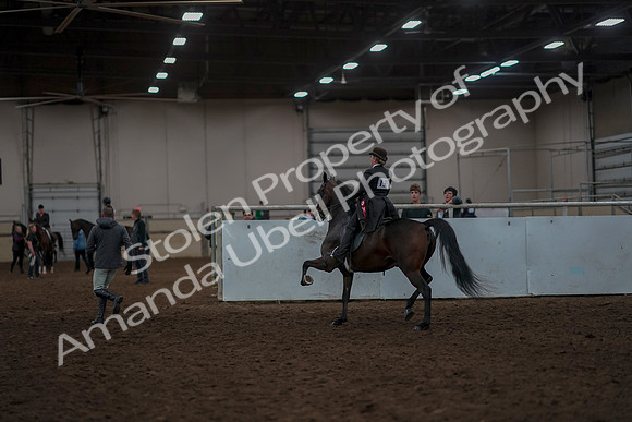 2019 Morgan Horse Show - Aug 30, 2019 - 28350
