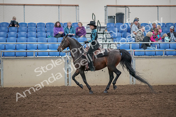 2019 Morgan Horse Show - Aug 30, 2019 - 26089
