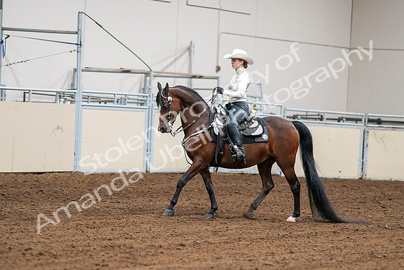 2020 - AB Morgan Horse - Sat, Sept 05 - 08971
