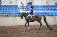 2019 Morgan Horse Show - Sept 01, 2019 - 05486