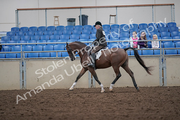 2019 Morgan Horse Show - Aug 31, 2019 - 15922