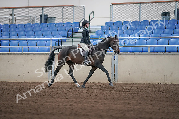 2019 Morgan Horse Show - Sept 01, 2019 - 03818