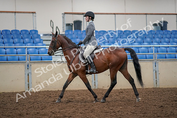 2019 Morgan Horse Show - Aug 30, 2019 - 23205