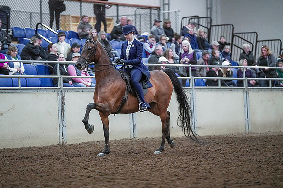 Spring Fling - Saturday - April 20, 2019  -  00713