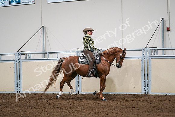 2020 - AB Morgan Horse - Sat, Sept 05 - 08923