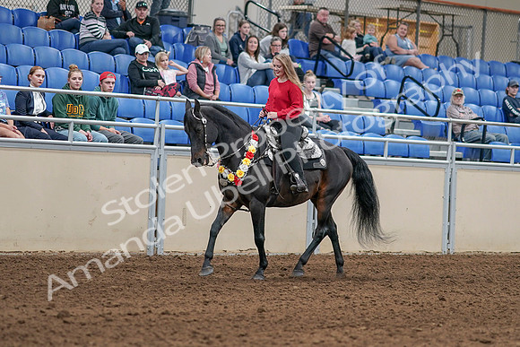 2020 - AB Morgan Horse - Sat, Sept 05 - 10422