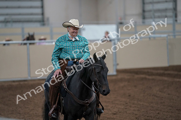 2020 - AB Morgan Horse - Fri, Sept 04 - 00458