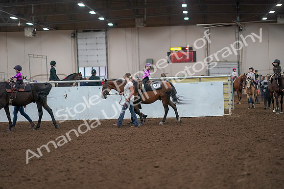 2019 Morgan Horse Show - Aug 31, 2019 - 18896