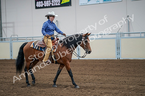 2020 - AB Morgan Horse - Fri, Sept 04 - 00004