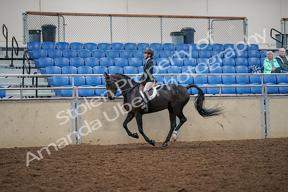 2019 Morgan Horse Show - Aug 30, 2019 - 23402