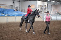 2019 Morgan Horse Show - Sept 01, 2019 - 10680_1