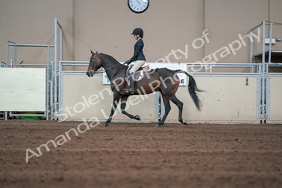 2019 Morgan Horse Show - Sept 01, 2019 - 03686