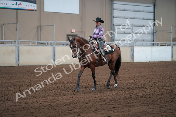 2019 Morgan Horse Show - Sept 01, 2019 - 07208