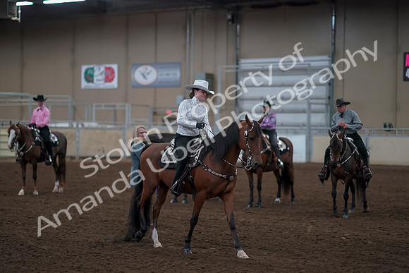 2019 Morgan Horse Show - Sept 01, 2019 - 07248