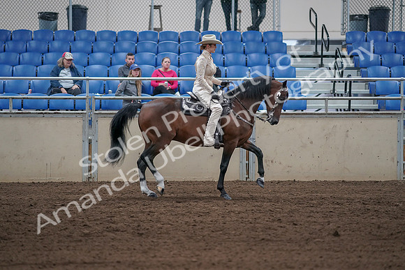 2019 Morgan Horse Show - Sept 01, 2019 - 07184
