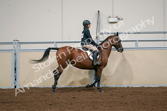 2020 - AB Morgan Horse - Fri, Sept 04 - 02105
