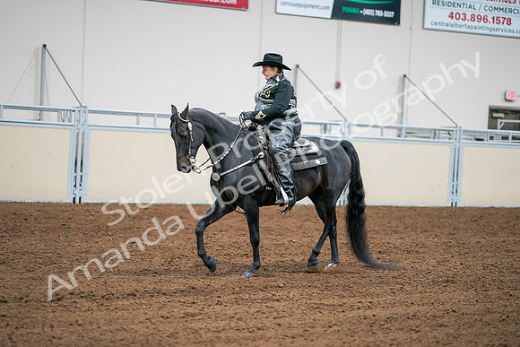 2020 - AB Morgan Horse - Sat, Sept 05 - 08960