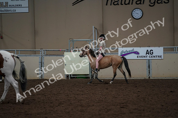 2019 Morgan Horse Show - Aug 30, 2019 - 31178