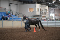 2019 Morgan Horse Show - Aug 31, 2019 - 02098