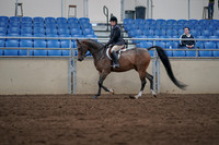 2019 Morgan Horse Show - Sept 01, 2019 - 08512
