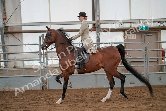 July 20, 2019 - 02157