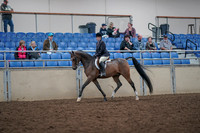 2019 Morgan Horse Show - Aug 31, 2019 - 15847