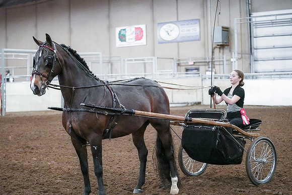 Spring Fling - Saturday - April 20, 2019  -  00323
