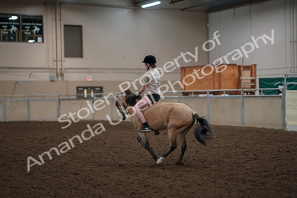 2019 Morgan Horse Show - Aug 30, 2019 - 31248