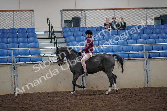 2019 Morgan Horse Show - Aug 30, 2019 - 31153