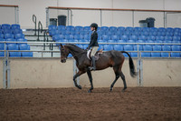 2019 Morgan Horse Show - Aug 31, 2019 - 06308
