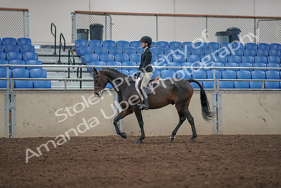 2019 Morgan Horse Show - Aug 31, 2019 - 06308