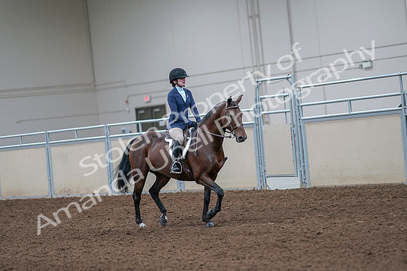2020 - AB Morgan Horse - Fri, Sept 04 - 06064