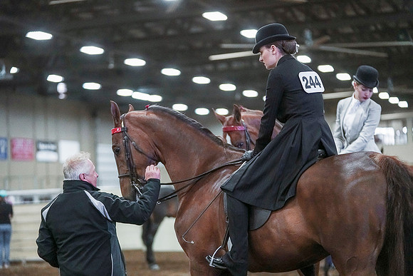 Spring Fling - Saturday - April 20, 2019  -  00369