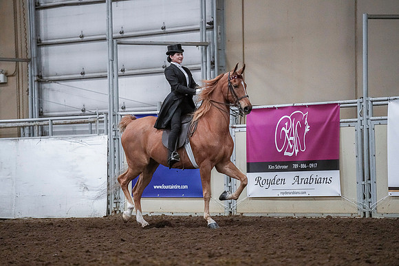 Spring Fling - Saturday - April 20, 2019  -  04190