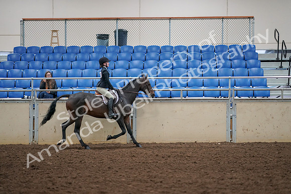 2019 Morgan Horse Show - Aug 30, 2019 - 12434