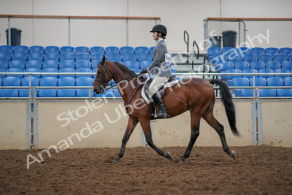 2019 Morgan Horse Show - Aug 30, 2019 - 23377